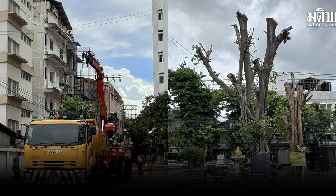 ชาวบ้านคอนโดฯ บ้านประชานิเวศน์ เดือด การเคหะฯ สั่งโค่นไม้ใหญ่เกลี้ยง แฉซ้ำปล่อยตึกโทรม-ซุปเปอร์ฯ ปิดตัว วังเวงเหมือนป่าช้า