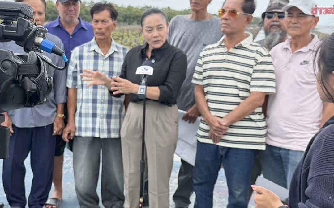 มัลลิกา ลุยทะเลบางขุนเทียน รับฟังปัญหาน้ำกัดเซาะชายฝั่ง-การสัญจรยากลำบาก